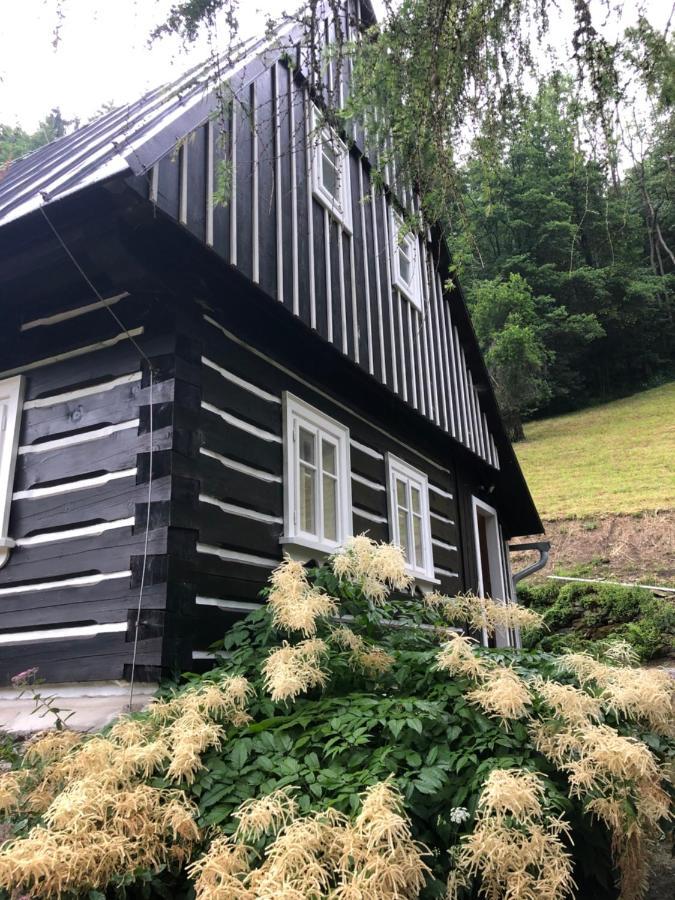 Roubenka Bratrouchov Villa Jablonec nad Jizerou Bagian luar foto